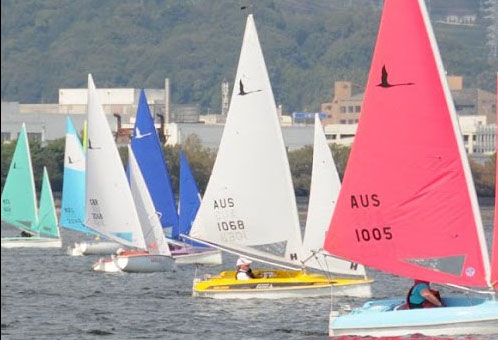 Boats at the start line